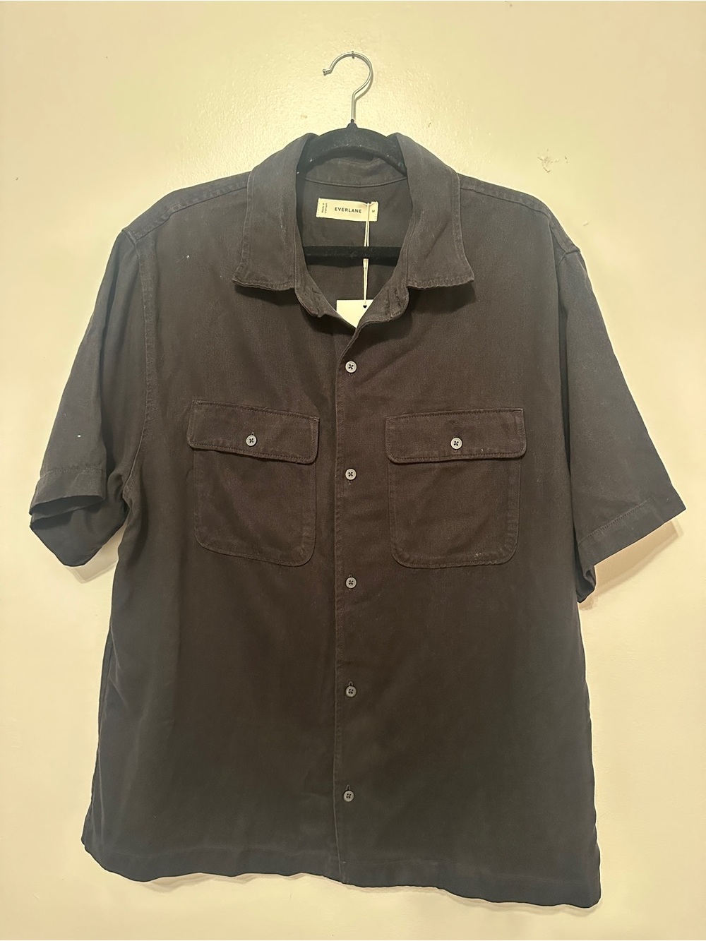 Everlane Men's Short-Sleeve Button-Down Shirt in Dark Brown